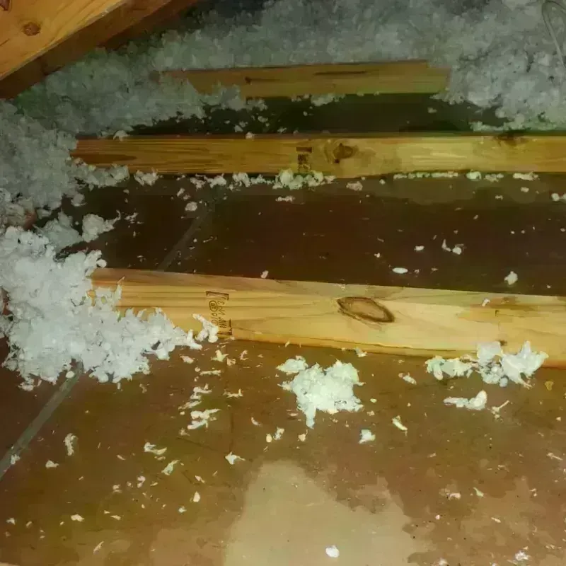 Attic Water Damage in Swepsonville, NC