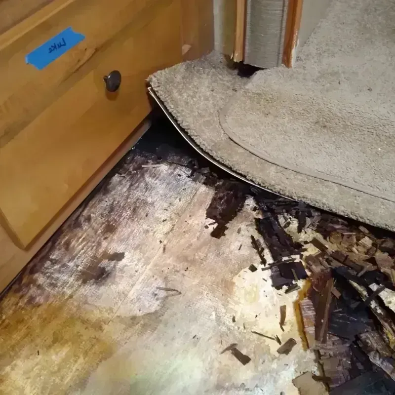 Wood Floor Water Damage in Swepsonville, NC